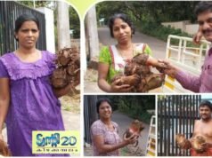 ഗ്രാമകൃഷിക്ക് പുതുജീവന്: ട്വന്റി20യുടെ ‘ഹരിത കിഴക്കമ്പലം’