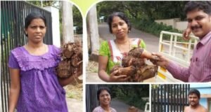 ഗ്രാമകൃഷിക്ക് പുതുജീവന്: ട്വന്റി20യുടെ ‘ഹരിത കിഴക്കമ്പലം’