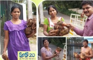 ഗ്രാമകൃഷിക്ക് പുതുജീവന്: ട്വന്റി20യുടെ ‘ഹരിത കിഴക്കമ്പലം’