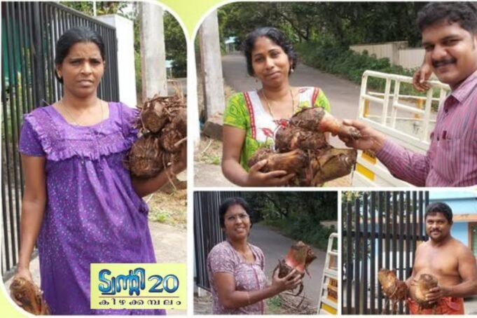 ഗ്രാമകൃഷിക്ക് പുതുജീവന്: ട്വന്റി20യുടെ ‘ഹരിത കിഴക്കമ്പലം’