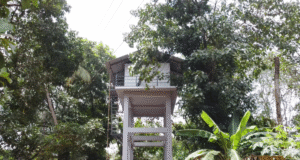 മഴുവന്നൂരിൽ കുടിവെള്ള സ്വപ്നത്തിന് രൂപം നൽകി: പദ്ധതി പൂർത്തിയാക്കാൻ ഒരുങ്ങുന്നു ട്വന്റി20