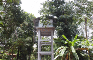 മഴുവന്നൂരിൽ കുടിവെള്ള സ്വപ്നത്തിന് രൂപം നൽകി: പദ്ധതി പൂർത്തിയാക്കാൻ ഒരുങ്ങുന്നു ട്വന്റി20