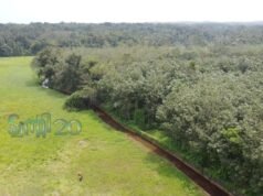 തോട് നവീകരണത്തിനായി പാര്ട്ടി ഫണ്ട് ചിലവഴിച്ച് ട്വന്റി20