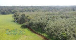 തോട് നവീകരണത്തിനായി പാര്ട്ടി ഫണ്ട് ചിലവഴിച്ച് ട്വന്റി20