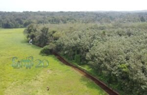 തോട് നവീകരണത്തിനായി പാര്ട്ടി ഫണ്ട് ചിലവഴിച്ച് ട്വന്റി20