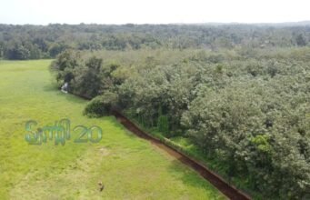 തോട് നവീകരണത്തിനായി പാര്ട്ടി ഫണ്ട് ചിലവഴിച്ച് ട്വന്റി20