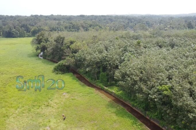 തോട് നവീകരണത്തിനായി പാര്ട്ടി ഫണ്ട് ചിലവഴിച്ച് ട്വന്റി20