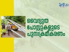 വൈദ്യുത പോസ്റ്റുകളുടെ പുനഃക്രമീകരണം