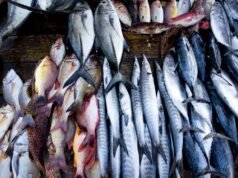 പകുതി വിലയില് മീനും ഇറച്ചിയും സുലഭം