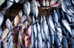 പകുതി വിലയില് മീനും ഇറച്ചിയും സുലഭം