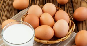 പോഷകാഹാര പദ്ധതി