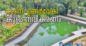 നാടിന് ഉണര്വേകി കുളം നവീകരണം