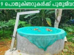 79 പൊതുകിണറുകള്ക്ക് പുതുജീവന്