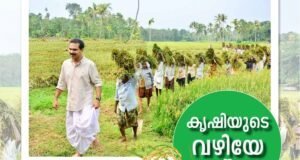 കൃഷിയുടെ വഴിയേ ട്വന്റി20