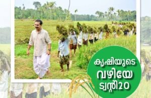 കൃഷിയുടെ വഴിയേ ട്വന്റി20