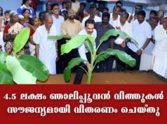 4.5 ലക്ഷം ഞാലിപ്പൂവന് വിത്തുകള് സൗജന്യമായി വിതരണം ചെയ്തു