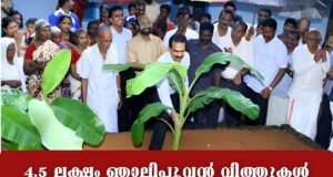 4.5 ലക്ഷം ഞാലിപ്പൂവന് വിത്തുകള് സൗജന്യമായി വിതരണം ചെയ്തു