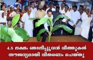4.5 ലക്ഷം ഞാലിപ്പൂവന് വിത്തുകള് സൗജന്യമായി വിതരണം ചെയ്തു