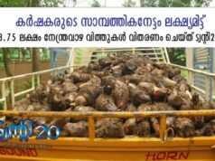 3.75 ലക്ഷം നേന്ത്രവാഴ വിത്തുകള്: കര്ഷകരുടെ സാമ്പത്തികനേട്ടം ലക്ഷ്യമിട്ട് ട്വന്റി 20