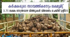 3.75 ലക്ഷം നേന്ത്രവാഴ വിത്തുകള്: കര്ഷകരുടെ സാമ്പത്തികനേട്ടം ലക്ഷ്യമിട്ട് ട്വന്റി 20