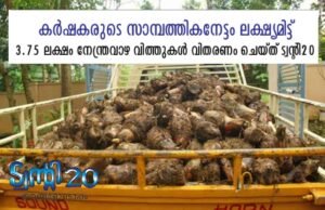 3.75 ലക്ഷം നേന്ത്രവാഴ വിത്തുകള്: കര്ഷകരുടെ സാമ്പത്തികനേട്ടം ലക്ഷ്യമിട്ട് ട്വന്റി 20