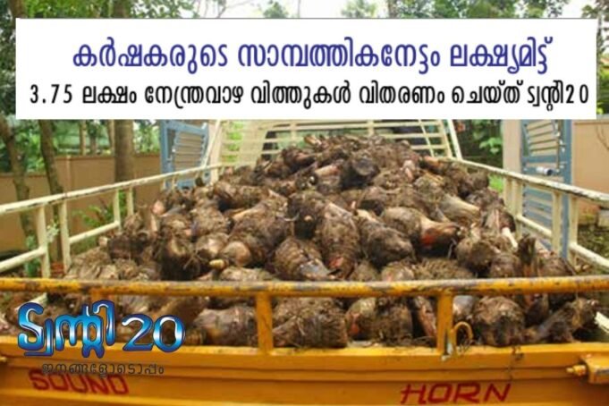 3.75 ലക്ഷം നേന്ത്രവാഴ വിത്തുകള്: കര്ഷകരുടെ സാമ്പത്തികനേട്ടം ലക്ഷ്യമിട്ട് ട്വന്റി 20