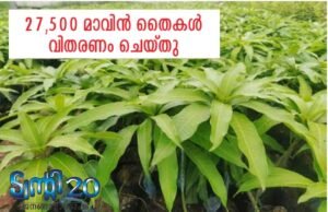 27,500 മാവിന് തൈകള് വിതരണം ചെയ്തു