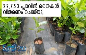 22,753 പ്ലാവിന് തൈകള് വിതരണം ചെയ്തു