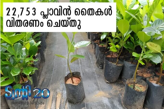 22,753 പ്ലാവിന് തൈകള് വിതരണം ചെയ്തു