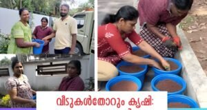 വീടുകള്തോറും കൃഷി: 33,750 HDPC ചട്ടികളും, പച്ചക്കറി തൈകളും സൗജന്യം