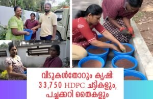 വീടുകള്തോറും കൃഷി: 33,750 HDPC ചട്ടികളും, പച്ചക്കറി തൈകളും സൗജന്യം