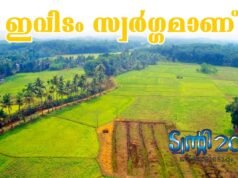 ഇവിടം സ്വര്ഗ്ഗമാണ്.