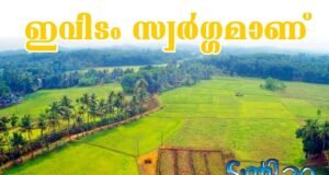 ഇവിടം സ്വര്ഗ്ഗമാണ്.