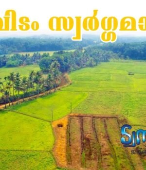ഇവിടം സ്വര്ഗ്ഗമാണ്.