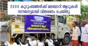 2000 കുടുംബങ്ങൾക്ക് മലബാറി ആടുകൾ സൗജന്യമായി വിതരണം ചെയ്തു