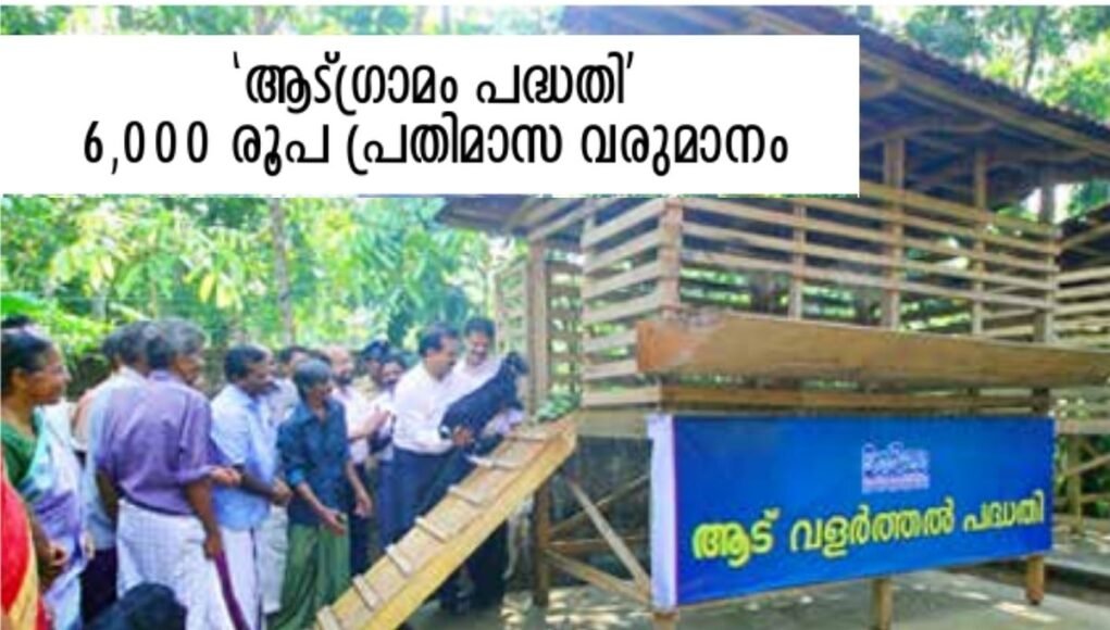 ‘ആട്ഗ്രാമം പദ്ധതി’; 500 കുടുംബങ്ങൾക്ക് സ്വയം തൊഴിൽ, 6,000 രൂപ പ്രതിമാസ വരുമാനം