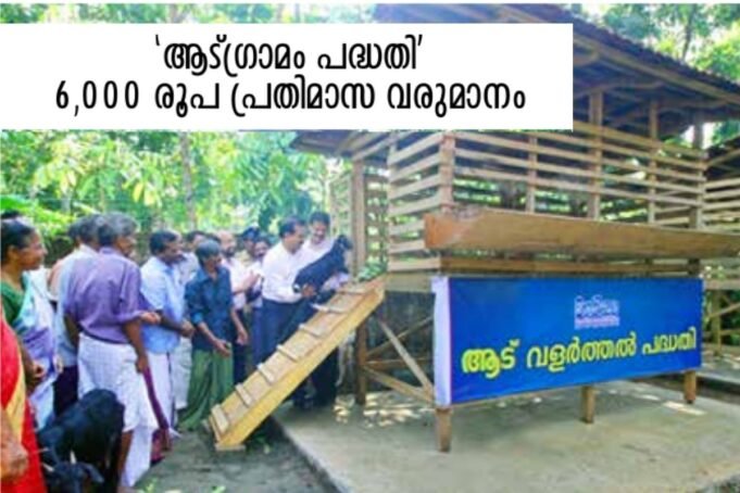 ‘ആട്ഗ്രാമം പദ്ധതി’; 500 കുടുംബങ്ങൾക്ക് സ്വയം തൊഴിൽ, 6,000 രൂപ പ്രതിമാസ വരുമാനം