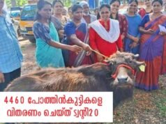 4460 പോത്തുകുട്ടികളെ വിതരണ, ചെയ്തു