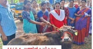 4460 പോത്തുകുട്ടികളെ വിതരണ, ചെയ്തു