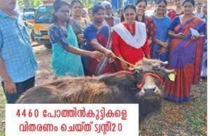 4460 പോത്തുകുട്ടികളെ വിതരണ, ചെയ്തു