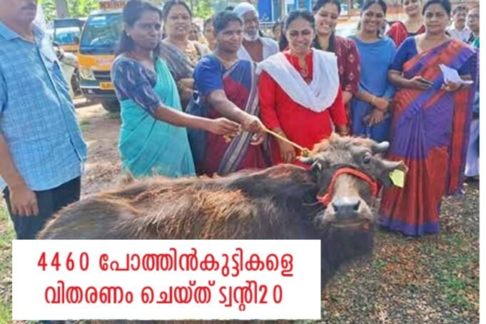 4460 പോത്തുകുട്ടികളെ വിതരണ, ചെയ്തു