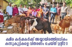 ക്ഷീര കര്ഷകര്ക്ക് അയ്യായിരത്തിലധികം കന്നുകുട്ടികളെ വിതരണം ചെയ്ത് ട്വന്റി20