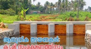 കൃഷിയിടങ്ങളില് കരുതലായി ആധുനിക തടയണകള്