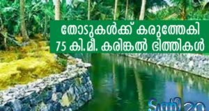 തോടുകള്ക്ക് കരുത്തേകി കരിങ്കല് ഭിത്തികള്