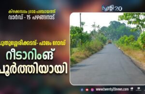 പുതുശ്ശേരിക്കടവ് പാലം റോഡ് റീ ടാറിംങ്ങ് പൂര്ത്തിയായി