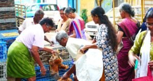 കിഴക്കമ്പലം പഞ്ചായത്തില് മുട്ടക്കൊഴി വിതരണം നടന്നു.