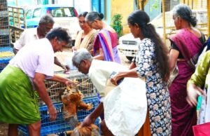 കിഴക്കമ്പലം പഞ്ചായത്തില് മുട്ടക്കൊഴി വിതരണം നടന്നു.