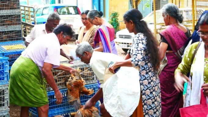 കിഴക്കമ്പലം പഞ്ചായത്തില് മുട്ടക്കൊഴി വിതരണം നടന്നു.