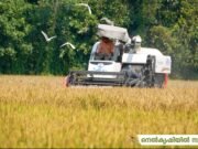 കർഷകർക്ക് കൈത്താങ്ങായി ട്വന്റി20